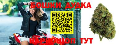 стаф Нарткала