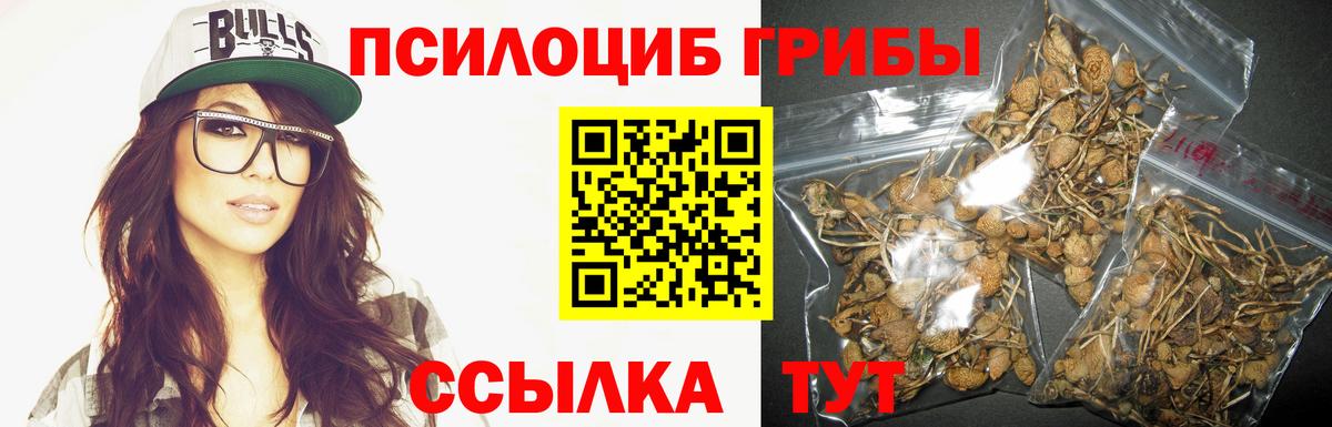 Галлюциногенные грибы Cubensis  Псилоцибиновые грибы Magic Shrooms  Вход с VPN  Белореченск 
