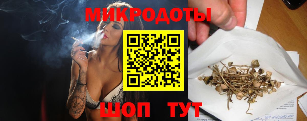 Галлюциногенные грибы Cubensis Белореченск